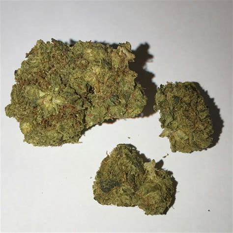 kfc fake gucci smoking weed|gucci og cannabis strain.